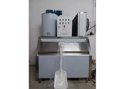 湖南某化工廠(chǎng)1.5噸片冰機(jī)巴黎